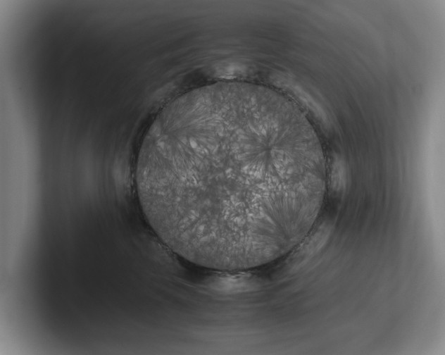 X0000102470569200808151431