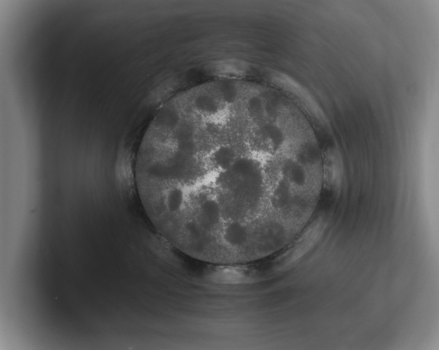 X0000102470573200808151431