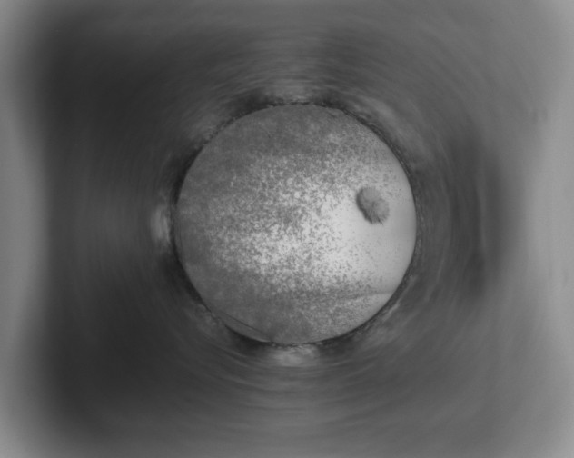 X0000102470576200808151431