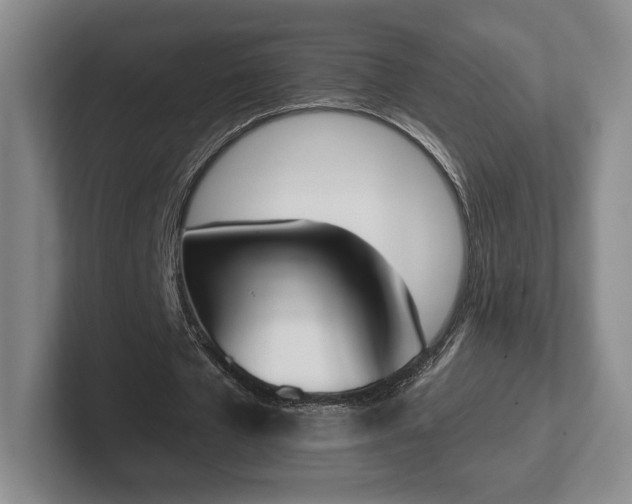X0000102470577200808151430