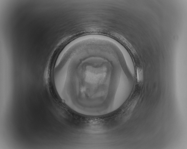 X0000102470579200808151430