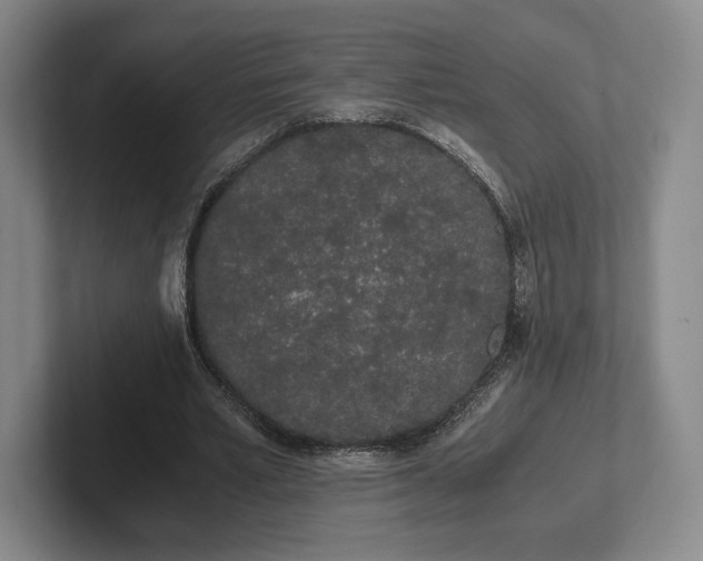 X0000102470581200808151430