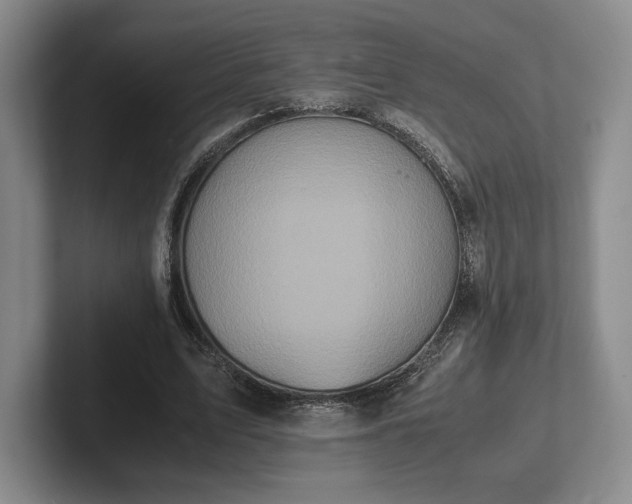 X0000102470583200808151430