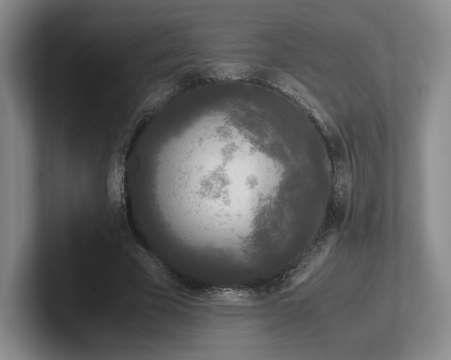 X0000102470585200808151430