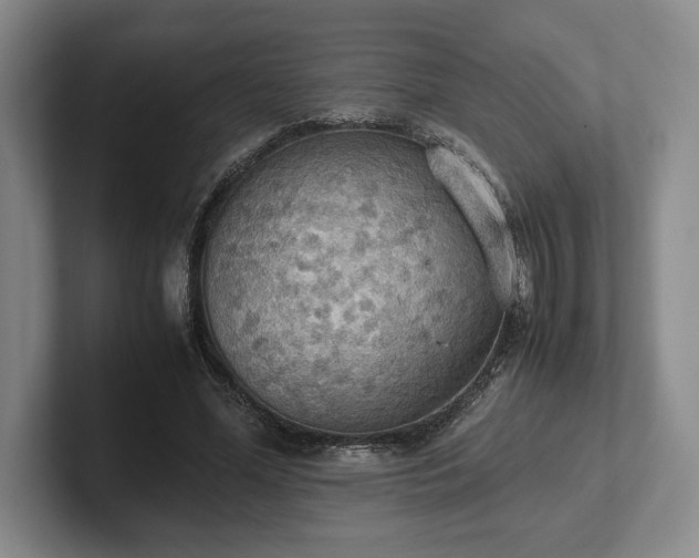 X0000102470588200808151430