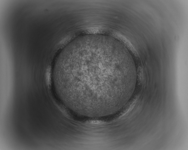 X0000102470590200808151430