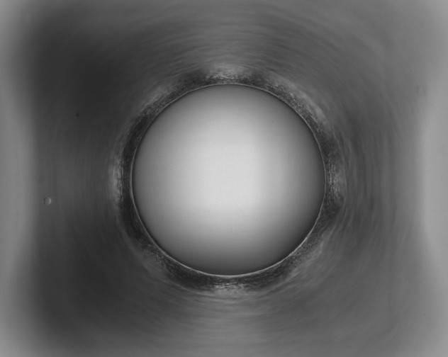 X0000102470591200808151430