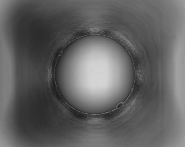 X0000102470593200808151430