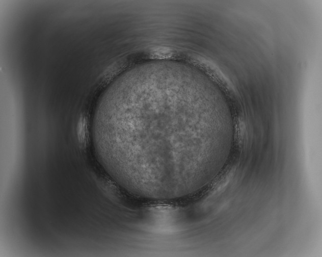 X0000102470598200808151430