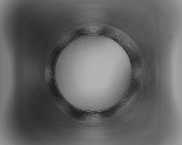 X0000102470599200808151430