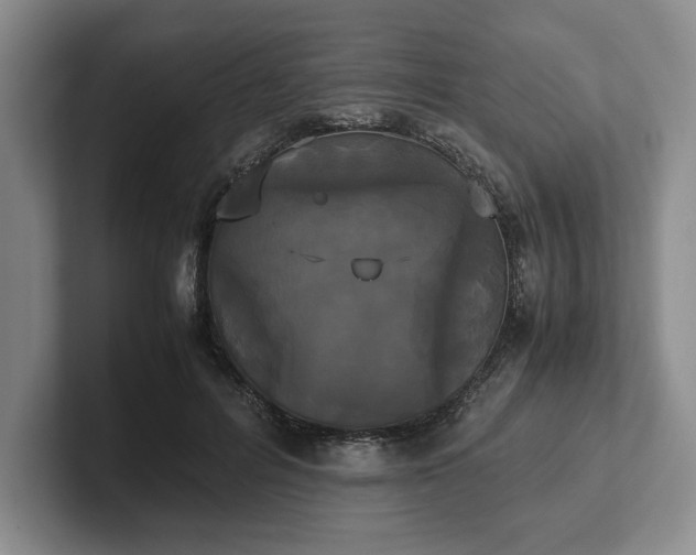 X0000102470600200808151430
