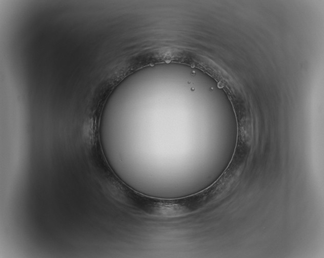 X0000102470605200808151430