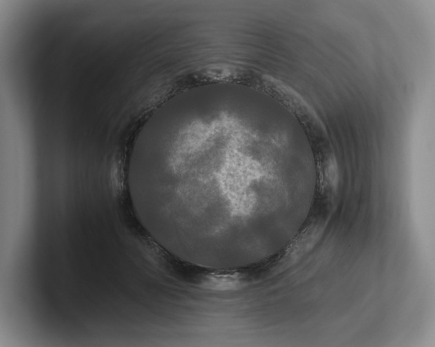 X0000102470606200808151430