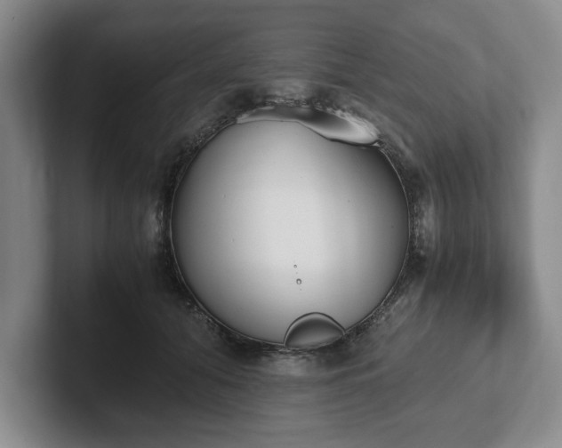 X0000102470608200808151430