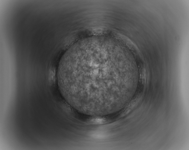 X0000102470610200808151430