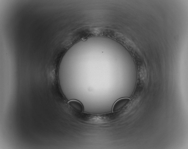 X0000102470611200808151430
