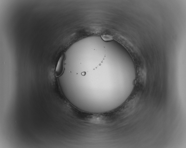 X0000102470612200808151430