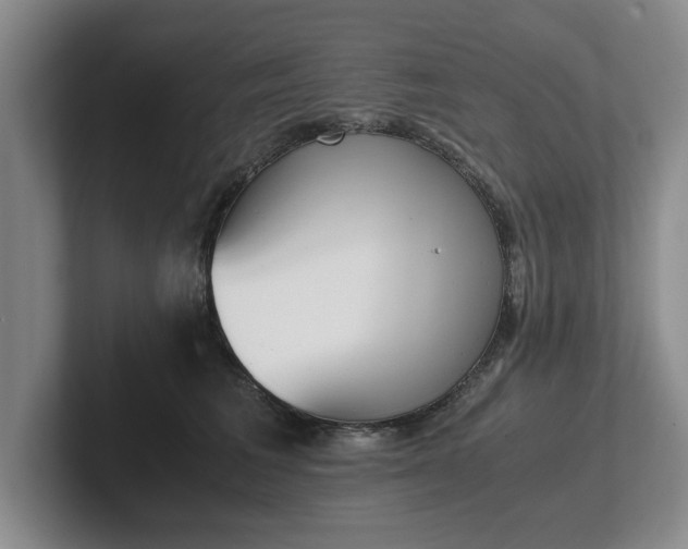 X0000102470613200808151430