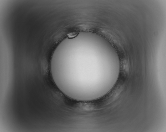 X0000102470615200808151430