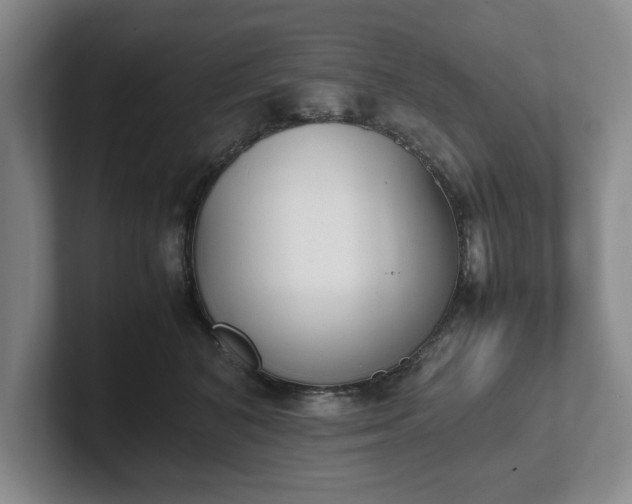 X0000102470616200808151430