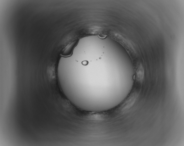 X0000102470620200808151430