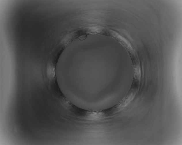 X0000102470621200808151429