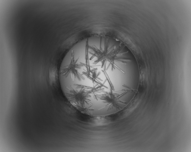 X0000102470623200808151429