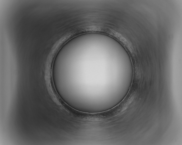 X0000102470625200808151429
