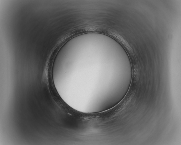 X0000102470626200808151429