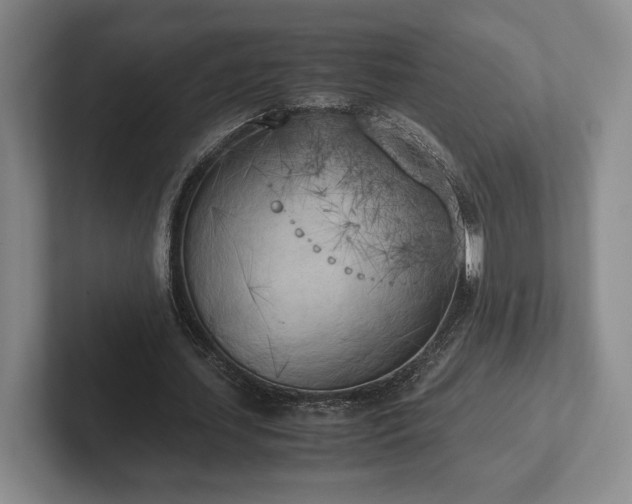 X0000102470627200808151429