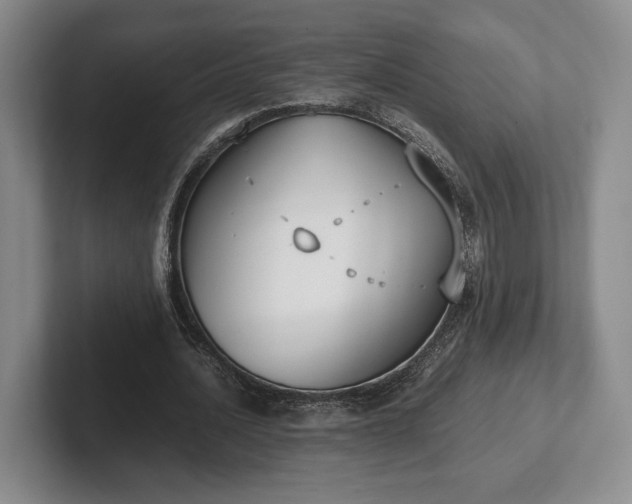 X0000102470628200808151429