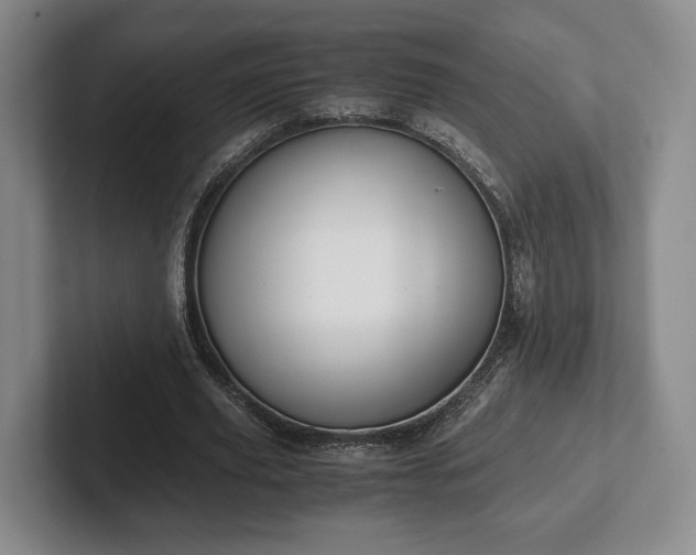 X0000102470629200808151429