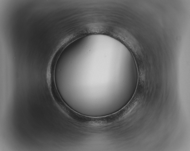 X0000102470630200808151429