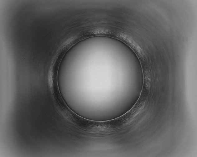 X0000102470631200808151429