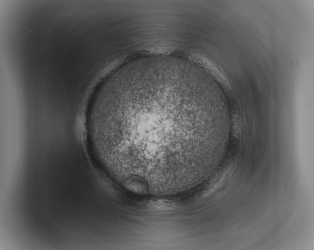 X0000102470634200808151429