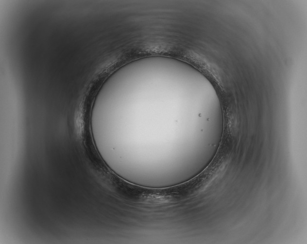 X0000102470635200808151429