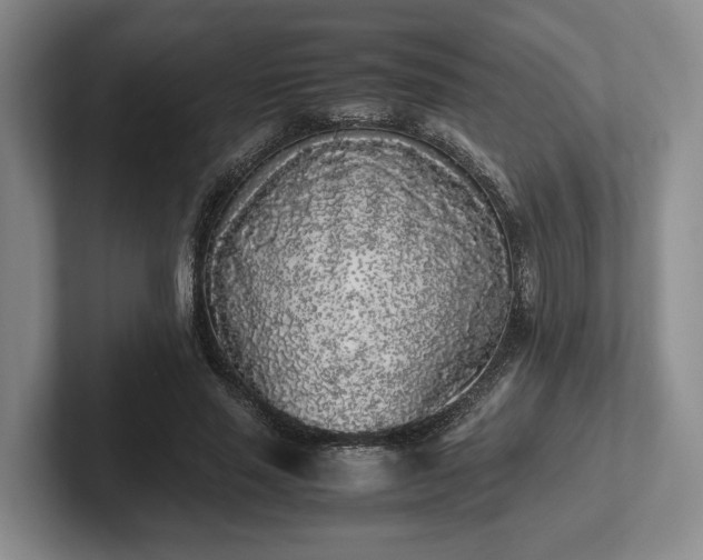 X0000102470637200808151429