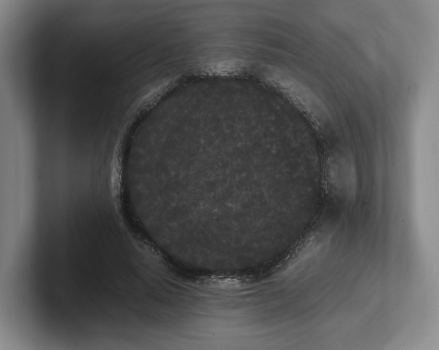 X0000102470640200808151429