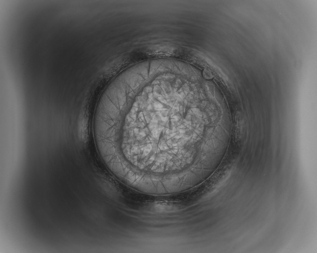 X0000102470641200808151429