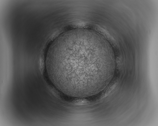 X0000102470642200808151429