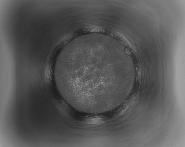 X0000102470643200808151429