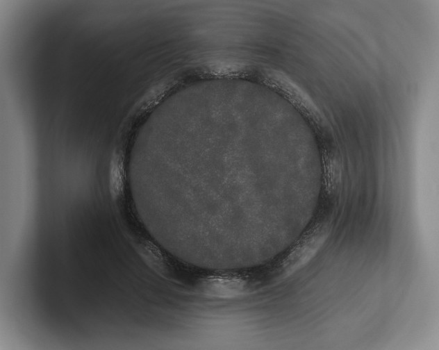 X0000102470644200808151429