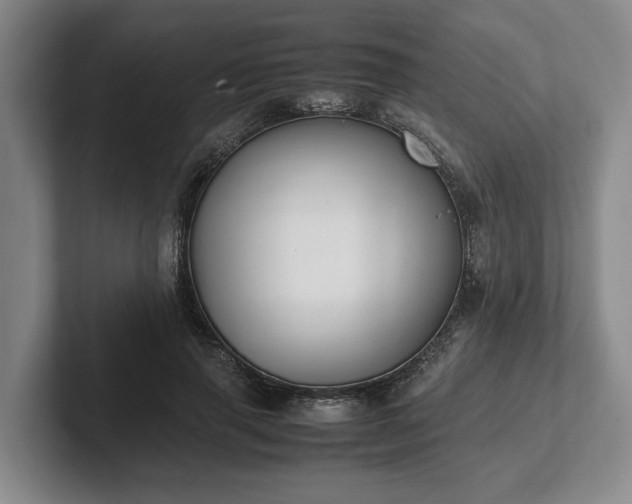 X0000102470645200808151429