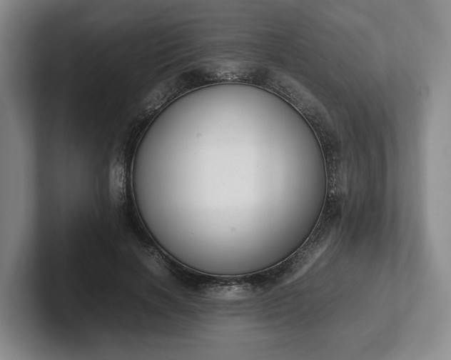 X0000102470646200808151429