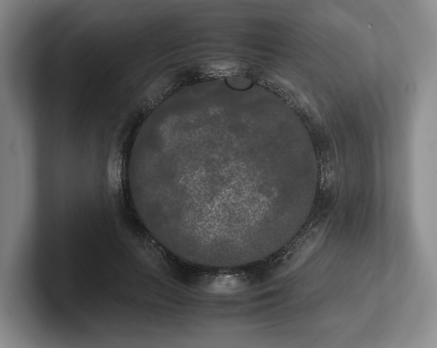 X0000102470647200808151429