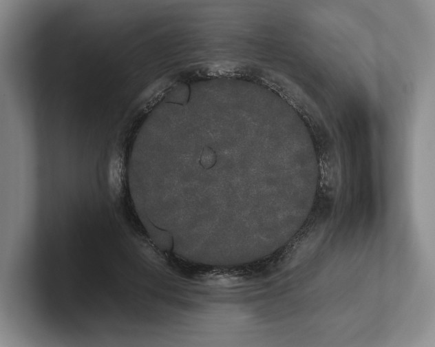 X0000102470648200808151429