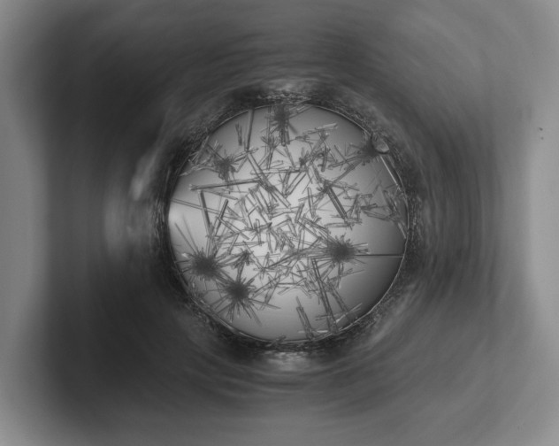 X0000102470649200808151429