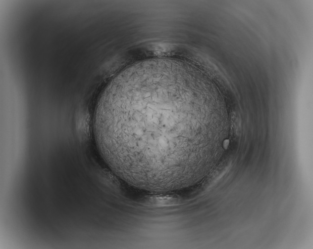 X0000102470650200808151429