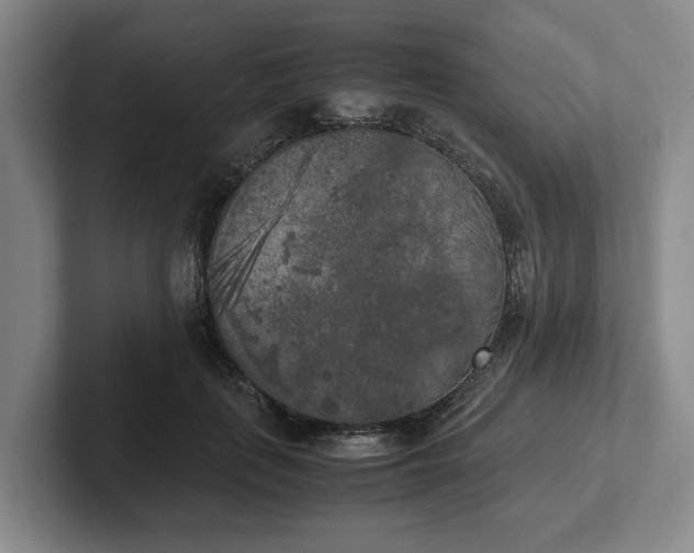 X0000102470651200808151429