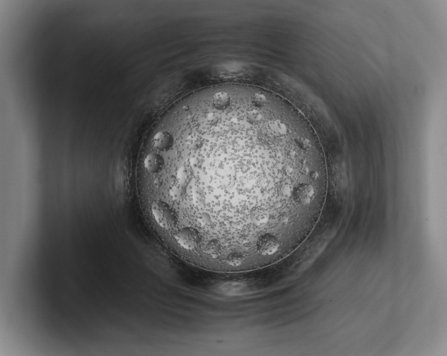 X0000102470653200808151429